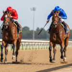 Horse Racing Exacta Bet Types at US Tracks 2026